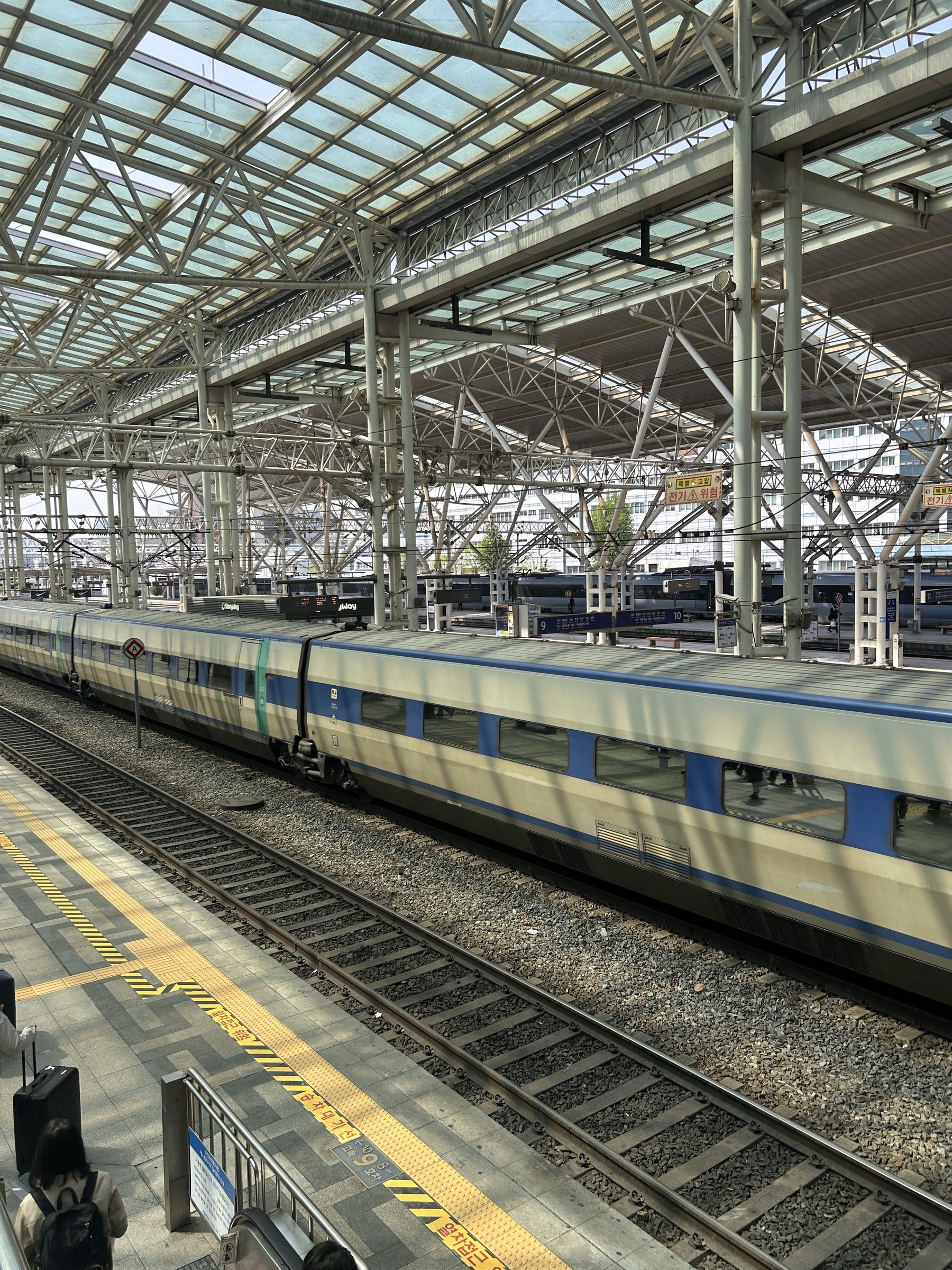 A long train waiting under the steel and glass roof of a station