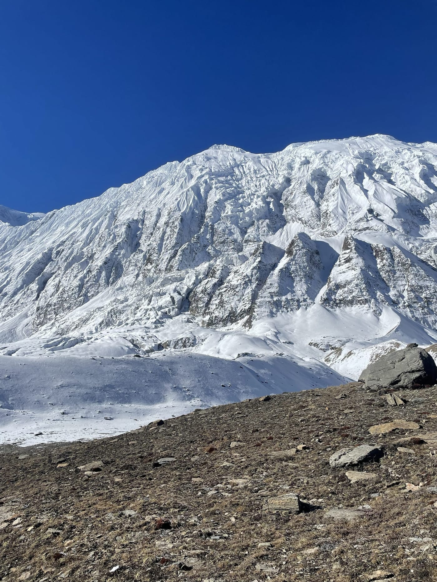 A glaciated mountain wall above a dry rocky slope under a clear blue sky