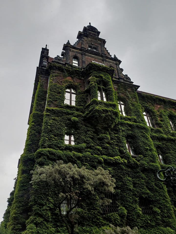 A museum building almost covered in thick green ivy under a grey sky